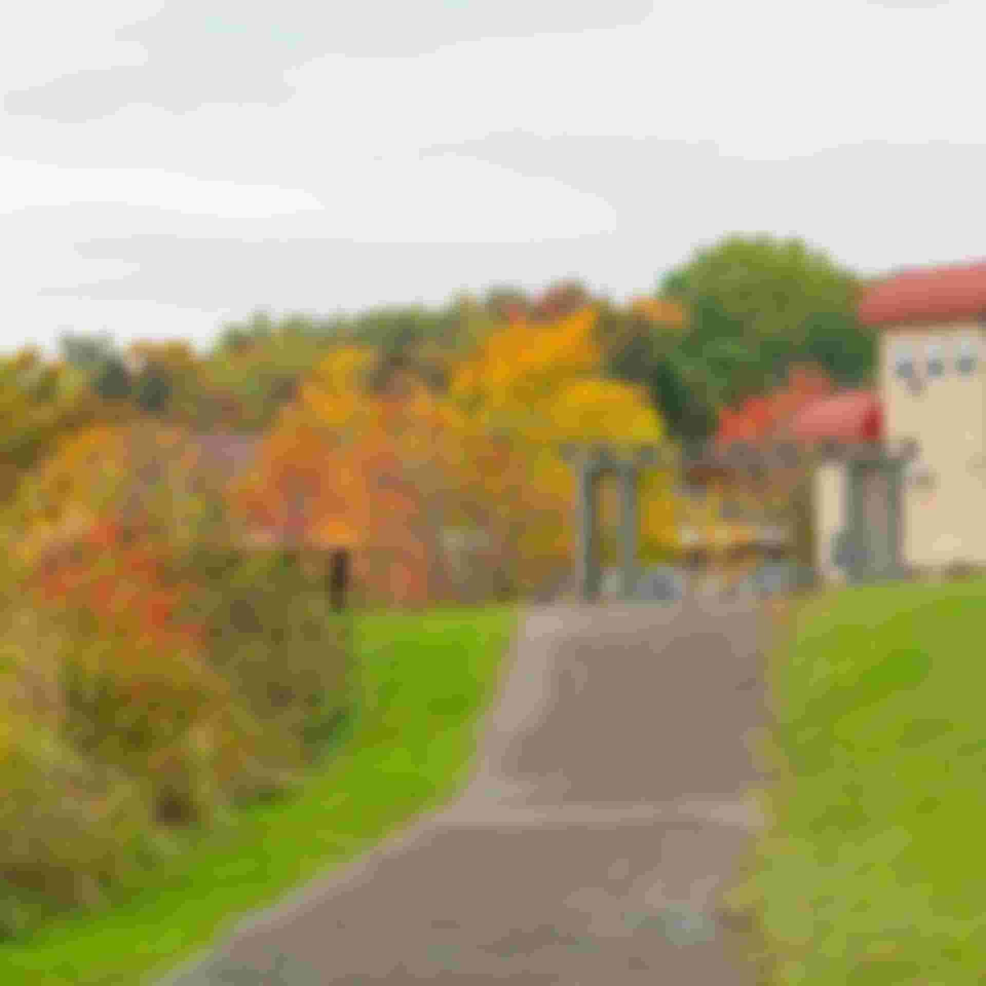 The Current - thecurrent-nature-as-your-backdrop-1