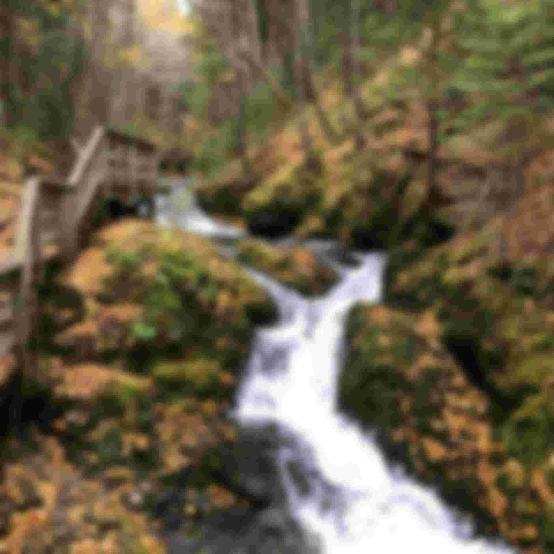 Dobson Crossing Boardwalk Path