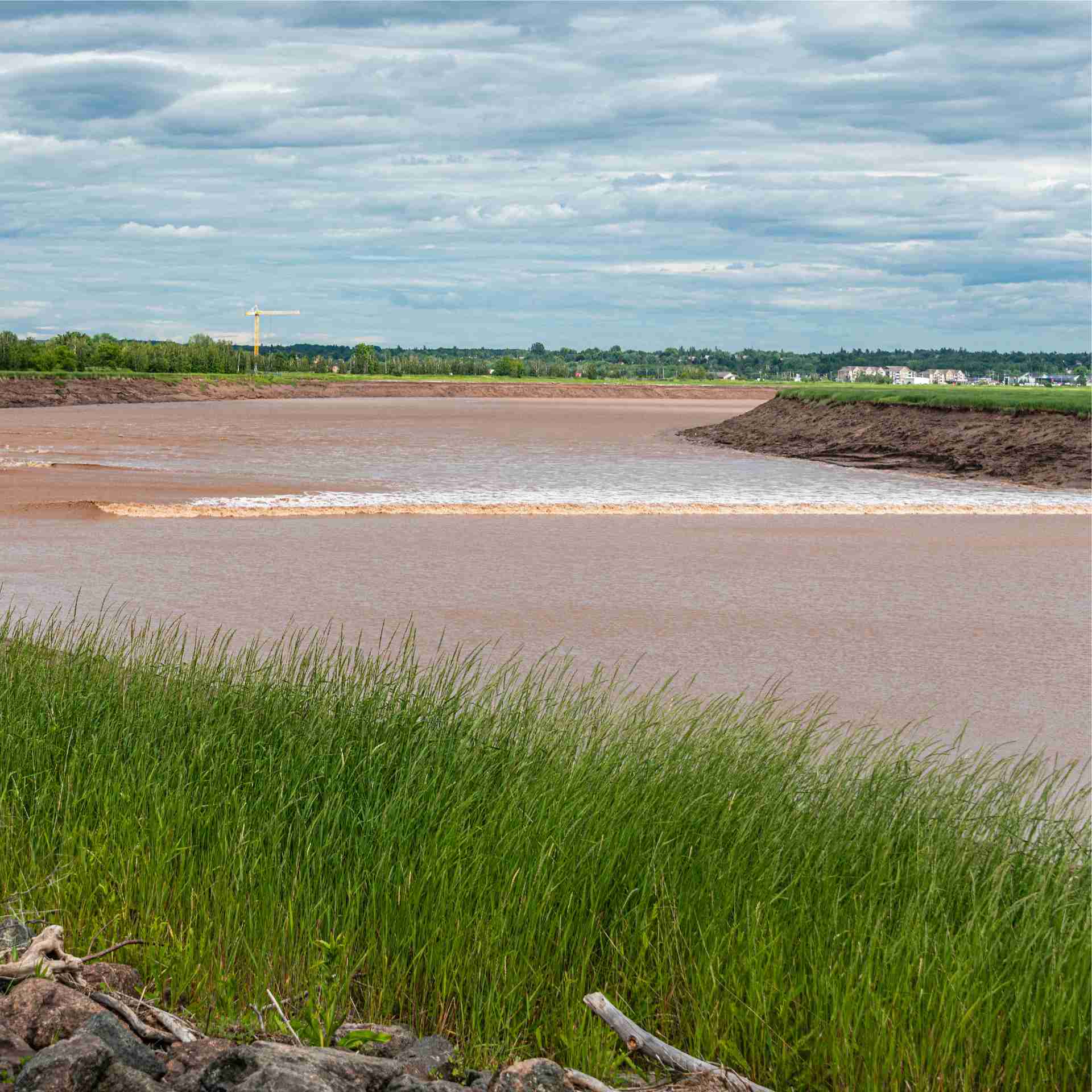 Neighbourhood - neighbourhood-tidal-bore